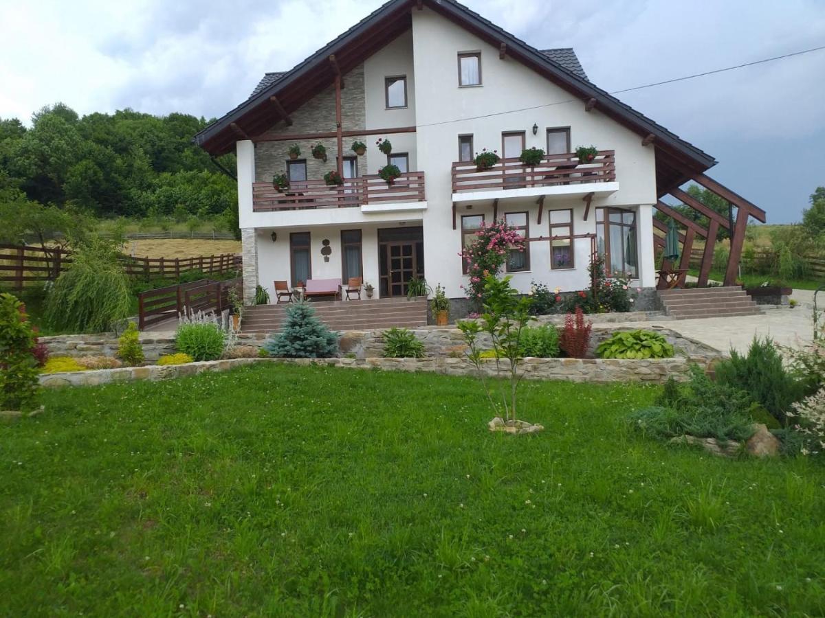 Pensiunea Doina Bucovinei Hotel Mînăstirea Humorului Buitenkant foto
