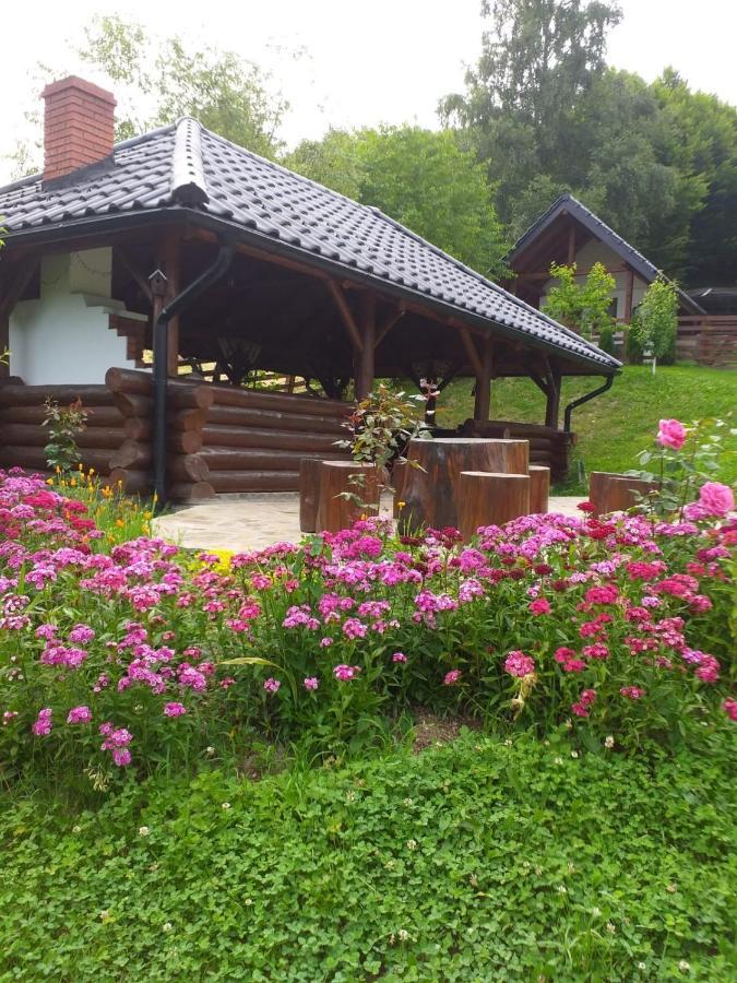 Pensiunea Doina Bucovinei Hotel Mînăstirea Humorului Buitenkant foto