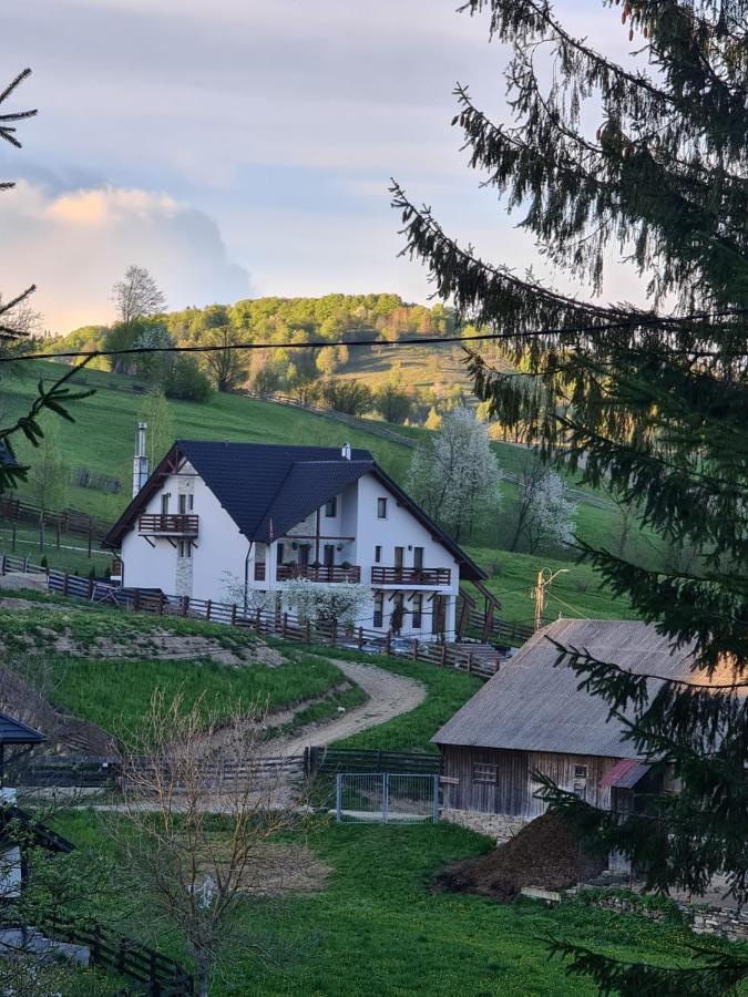 Pensiunea Doina Bucovinei Hotel Mînăstirea Humorului Buitenkant foto