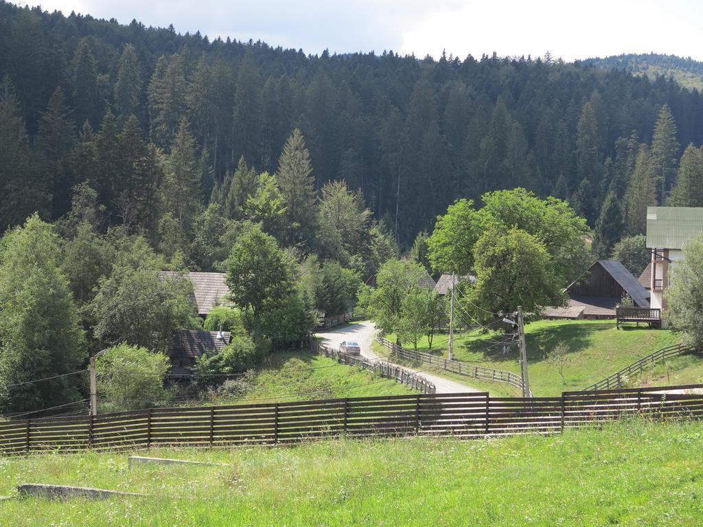 Pensiunea Doina Bucovinei Hotel Mînăstirea Humorului Buitenkant foto