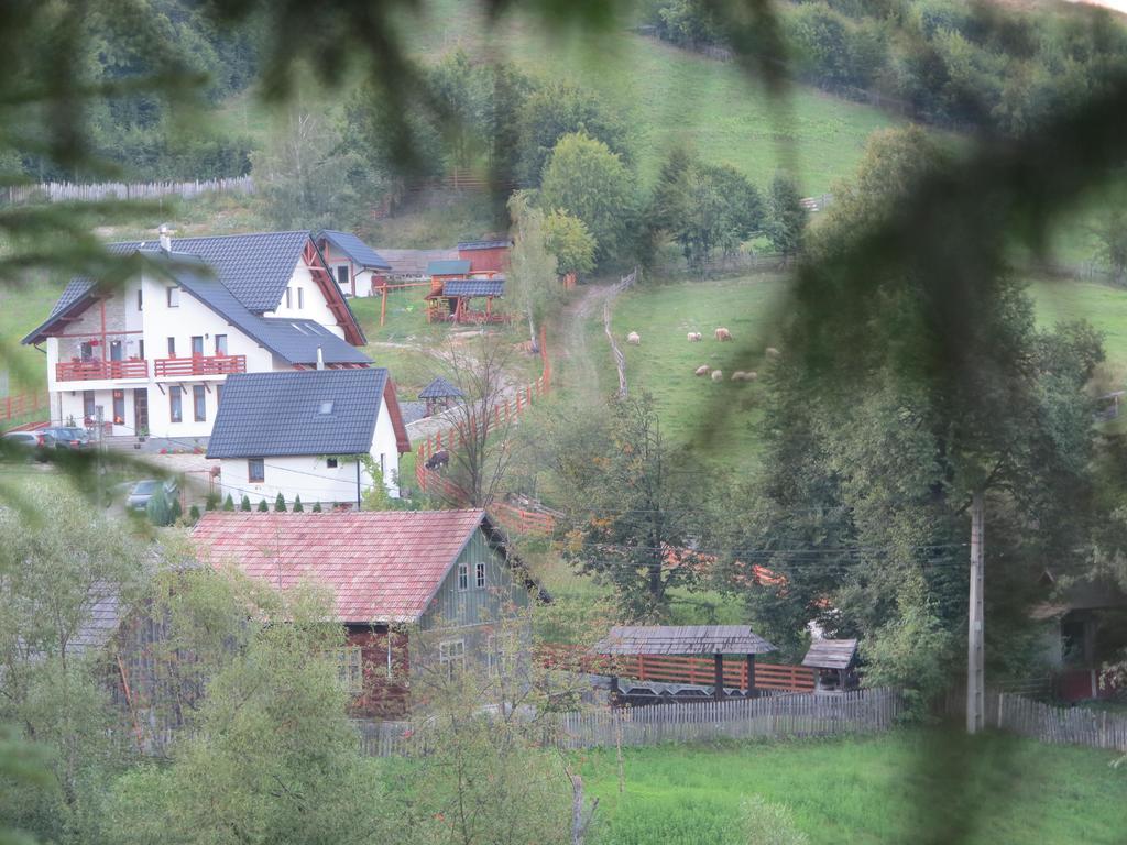 Pensiunea Doina Bucovinei Hotel Mînăstirea Humorului Buitenkant foto