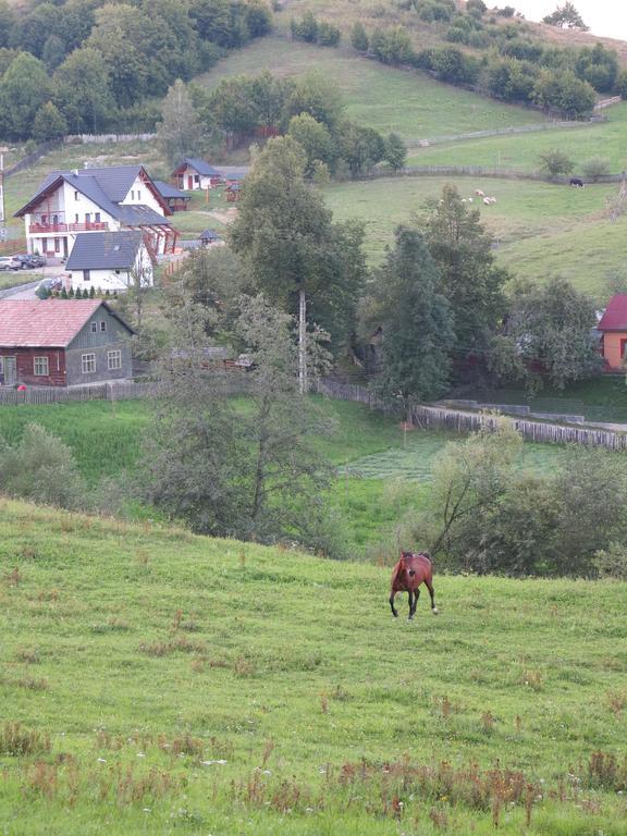 Pensiunea Doina Bucovinei Hotel Mînăstirea Humorului Buitenkant foto