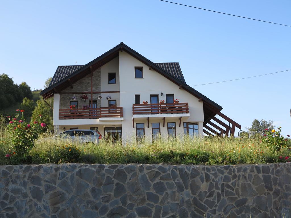 Pensiunea Doina Bucovinei Hotel Mînăstirea Humorului Buitenkant foto