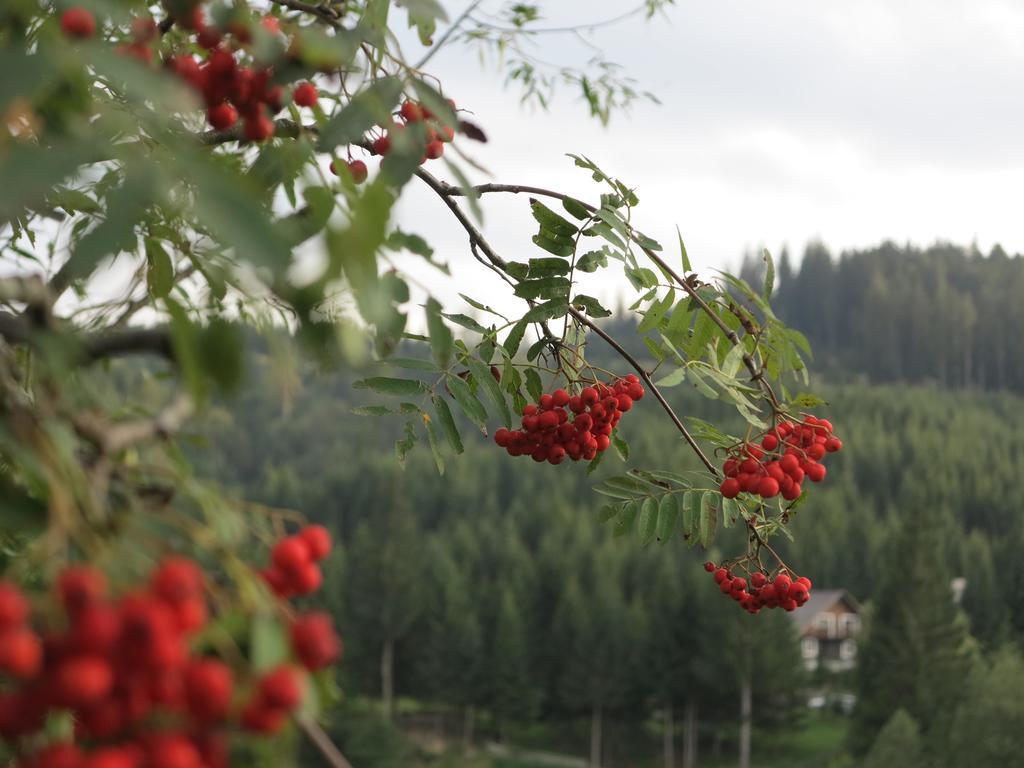 Pensiunea Doina Bucovinei Hotel Mînăstirea Humorului Buitenkant foto