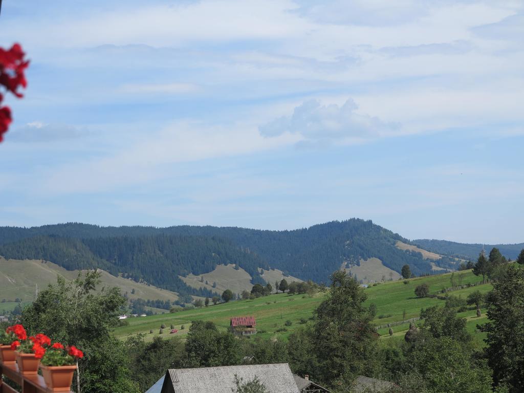 Pensiunea Doina Bucovinei Hotel Mînăstirea Humorului Buitenkant foto